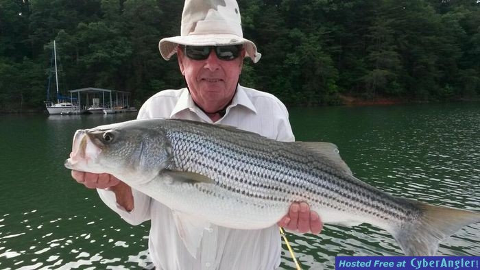 Lake Lanier, GA - Striper Fishing