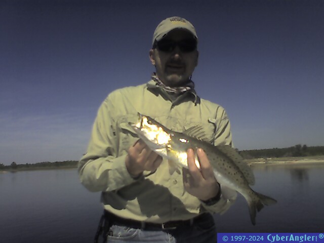 Feb_Trout