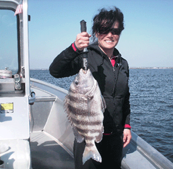 Click to Enlarge Photo