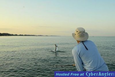 Click to Enlarge Photo