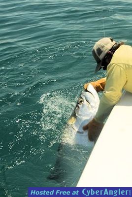 Click to Enlarge Photo