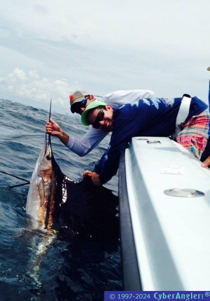 Big Sailfish