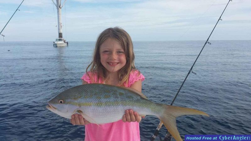 Yellowtail Snapper caught with Sea Gone Fishing