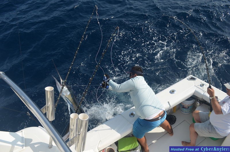 Click to Enlarge Photo