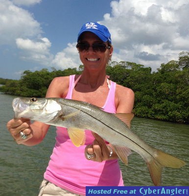 Click to Enlarge Photo