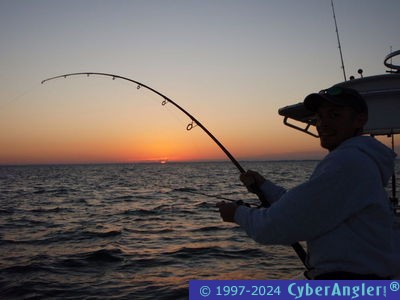 Click to Enlarge Photo