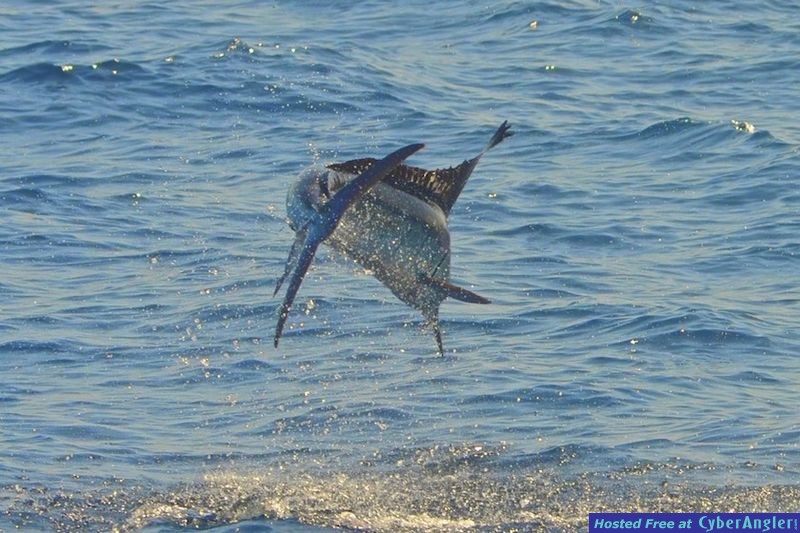 Click to Enlarge Photo