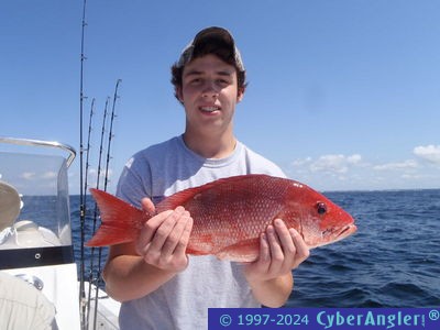 Click to Enlarge Photo