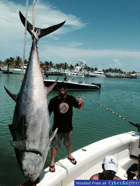Giant Tuna