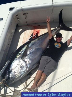 Giant Tuna caught sportfishing