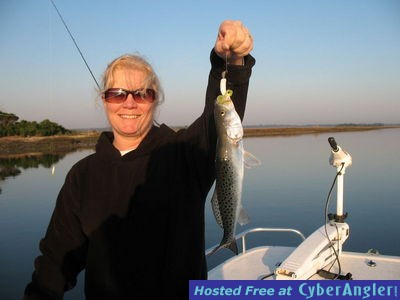 Click to Enlarge Photo