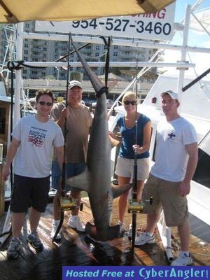 big hammerhead shark at dock