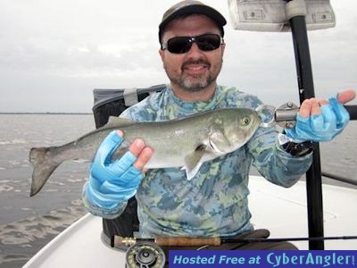 Click to Enlarge Photo