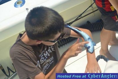 Click to Enlarge Photo