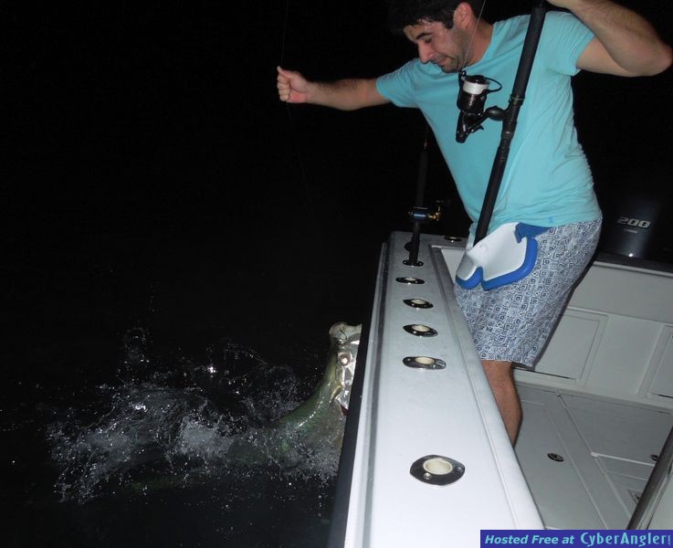 Tarpon Crashes b