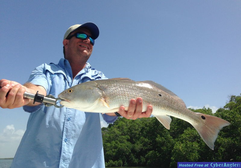 Larry_s_25inch_Red