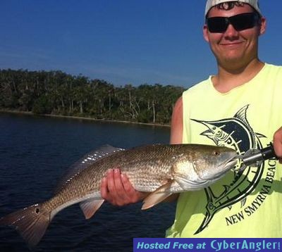 Click to Enlarge Photo