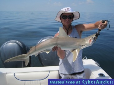 4-foot sandbar shark-Robbie