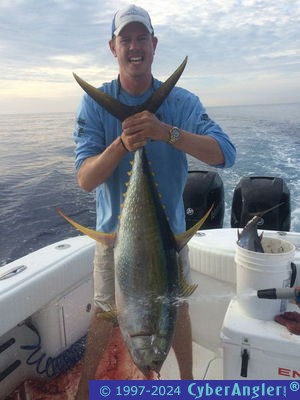 #Fishing #FishingReport #Stuart #Bahamas Yellowfin &amp;amp; Marlin