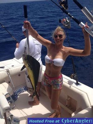 Click to Enlarge Photo