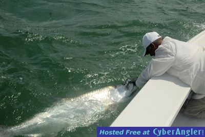 Click to Enlarge Photo