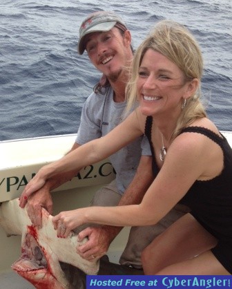 Amy's Shark