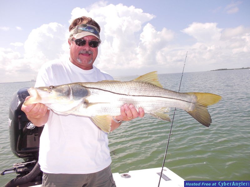 summer snook fishing