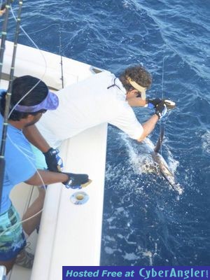 Click to Enlarge Photo