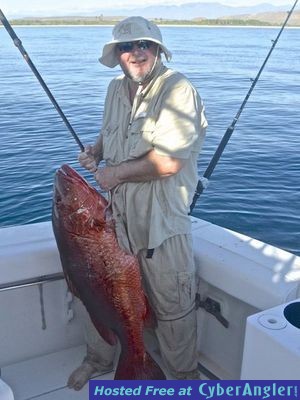 Click to Enlarge Photo