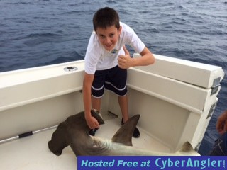 Ft. Lauderdale fishing update
