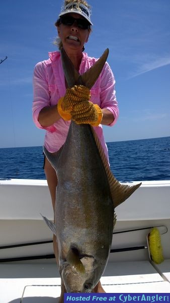 Click to Enlarge Photo