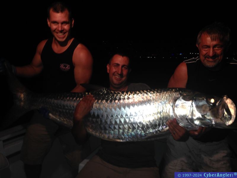 100+ Tarpon and Tired Angler