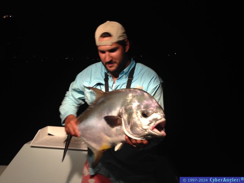 Permit Admired
