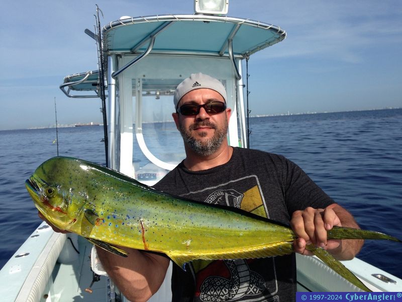 First Mahi