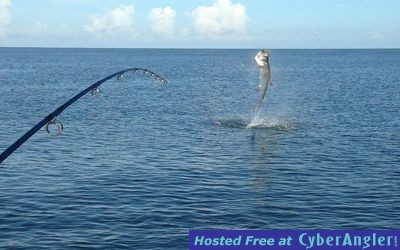 Click to Enlarge Photo