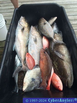 Fishing Stuart, Florida