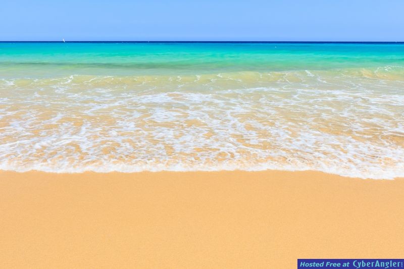 test-5-9