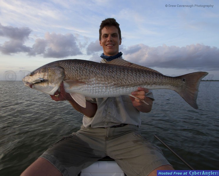 DOA Baitbuster Redfish
