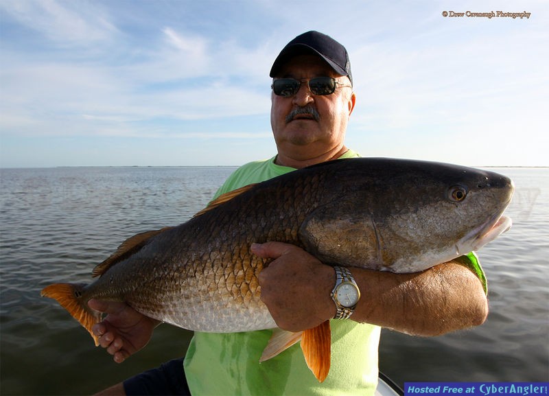 Mosquito Lagoon Bull Redfish