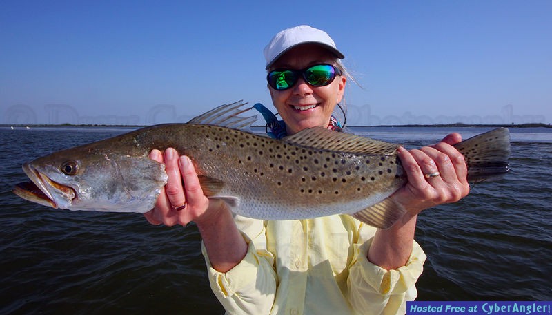 Gator Trout