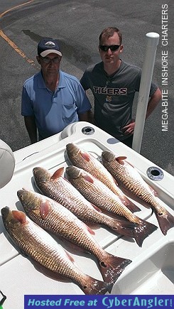 Redfish - Pensacola Charters
