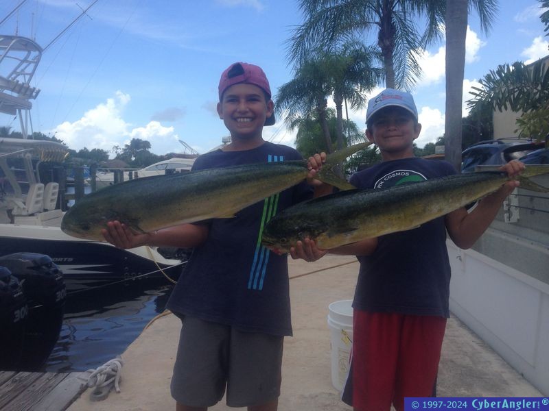 mahi10