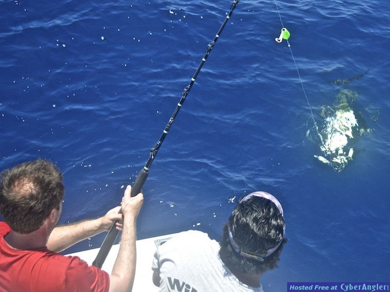 Click to Enlarge Photo