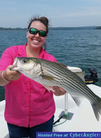 Click to Enlarge Photo