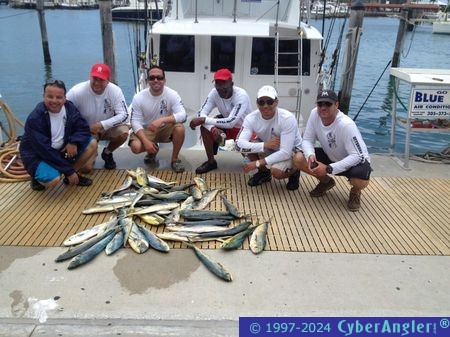 Click to Enlarge Photo