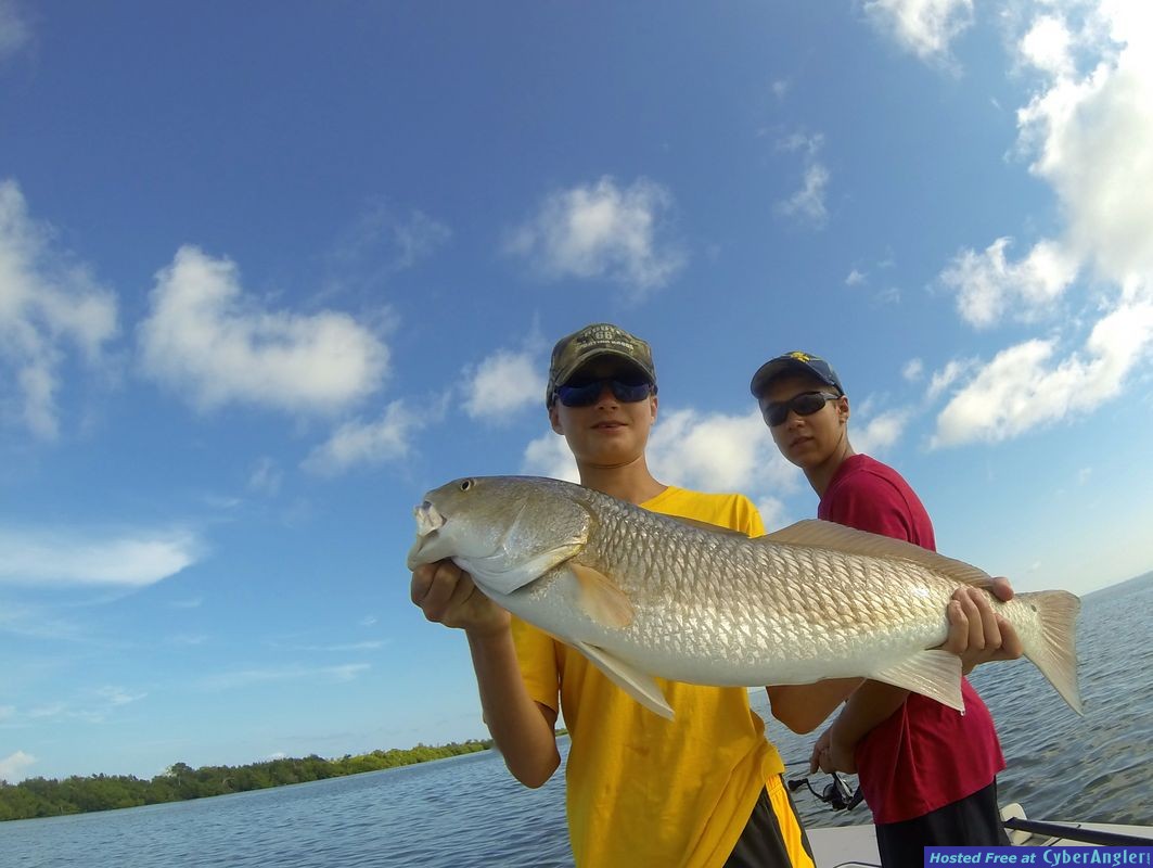 Andrew's Redfish