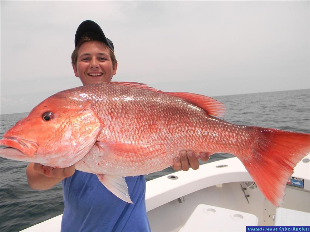 Red Snapper