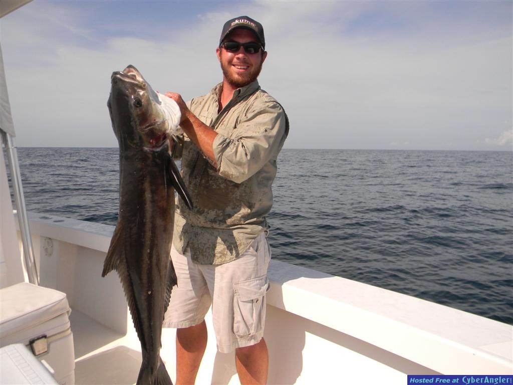 Coastal Georgia Cobia