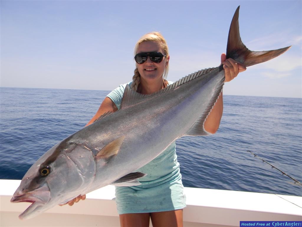 Coastal Georgia Amberjack