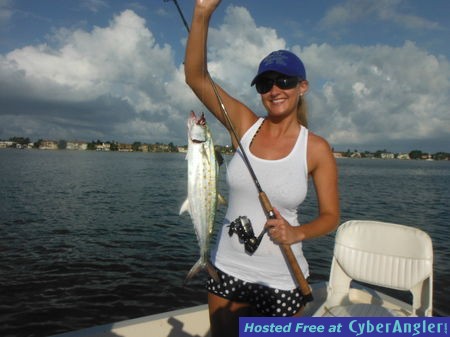 Click to Enlarge Photo